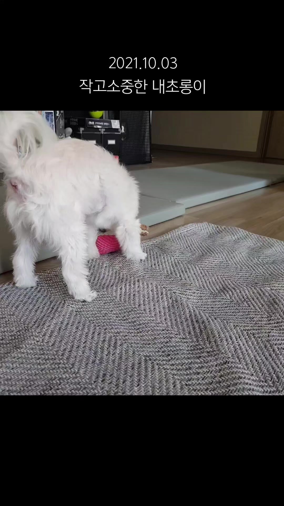 @초롱맘