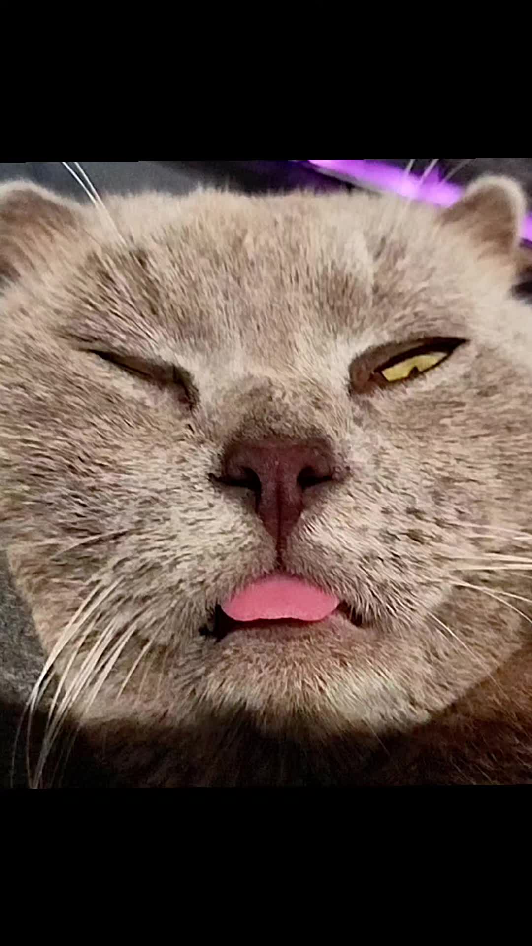 @🐈Масик&Андрей🥰