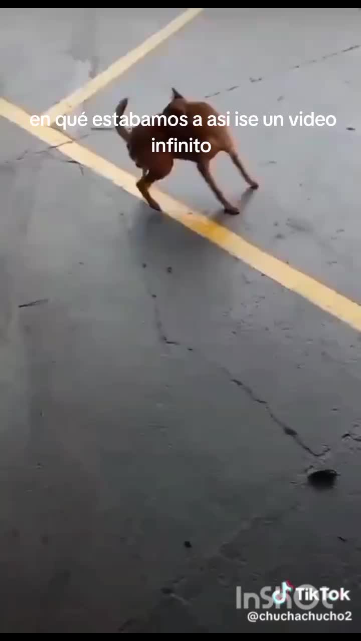 @Diego