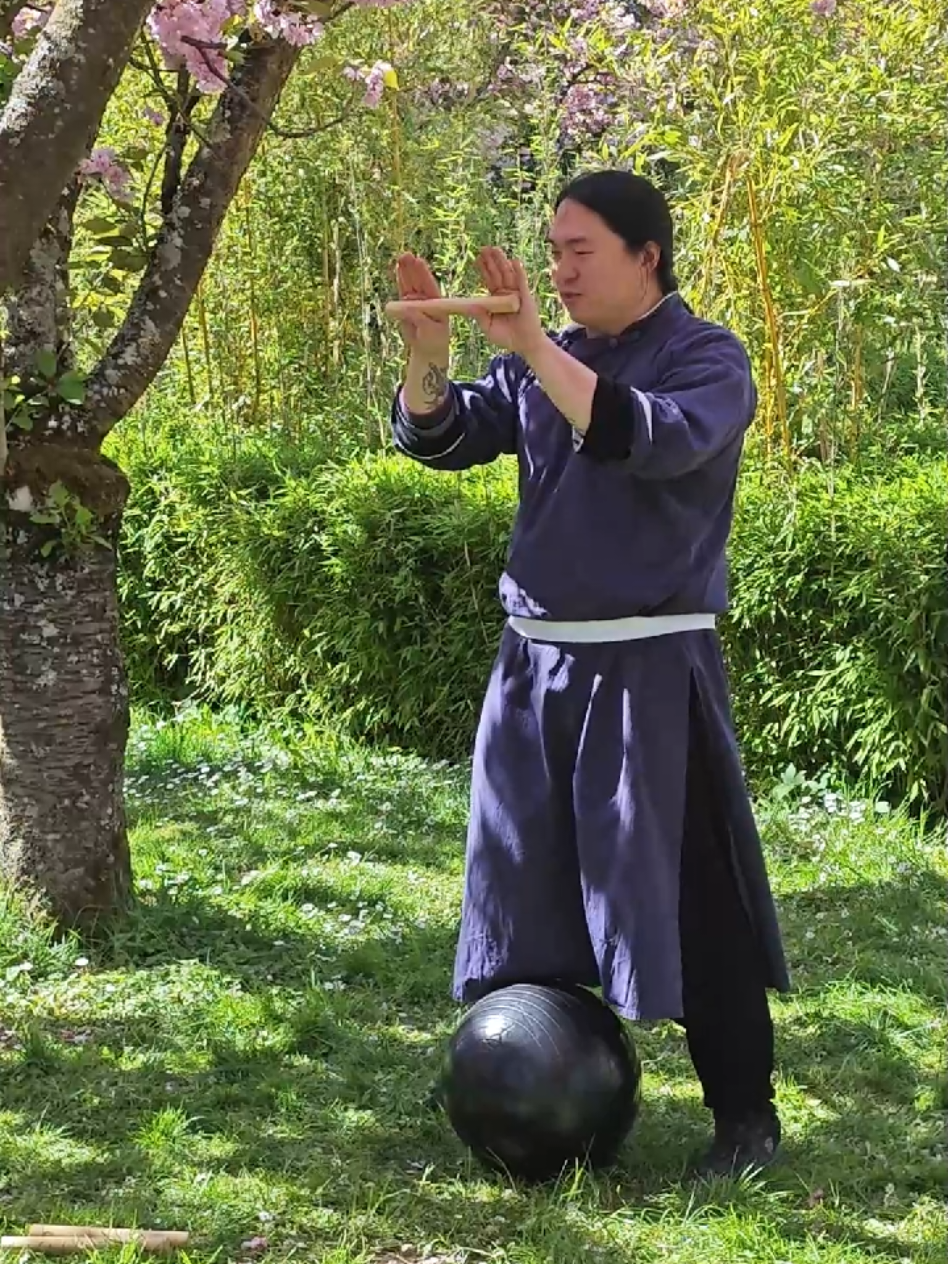 @TaiChi_Wingchun_PF