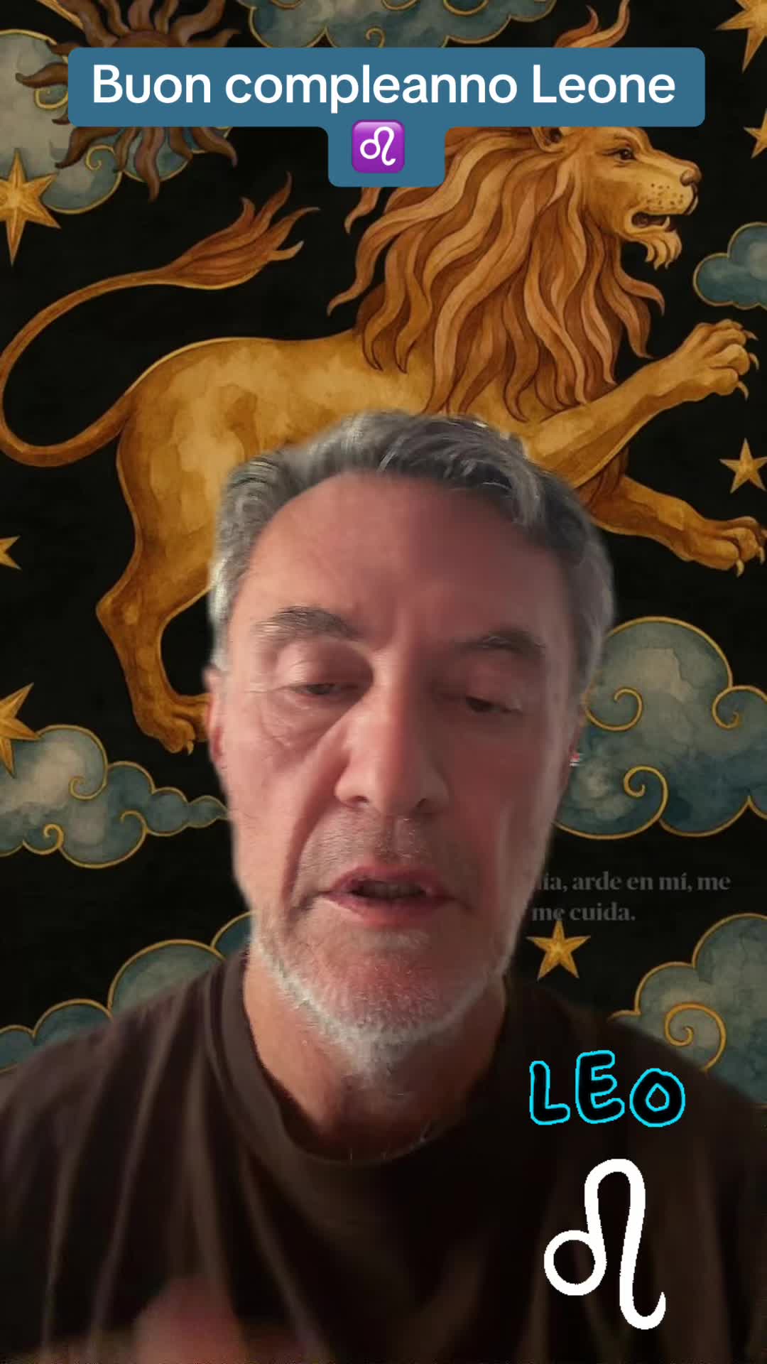 @stefanovighi