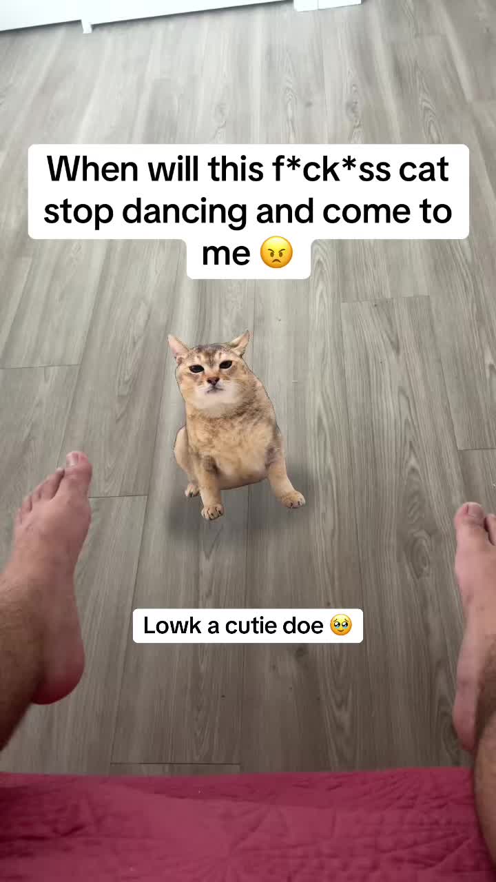 @Vani