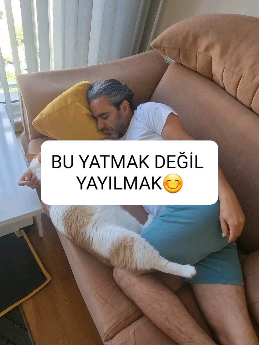 @kedichico