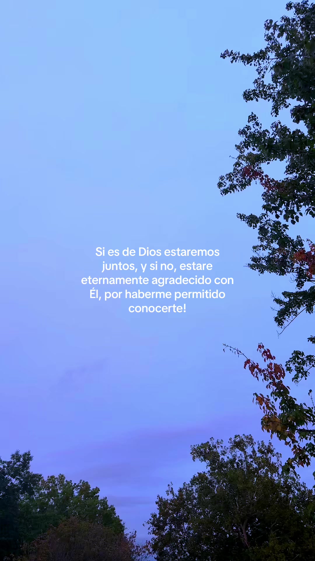 @Frases de todo un poco...