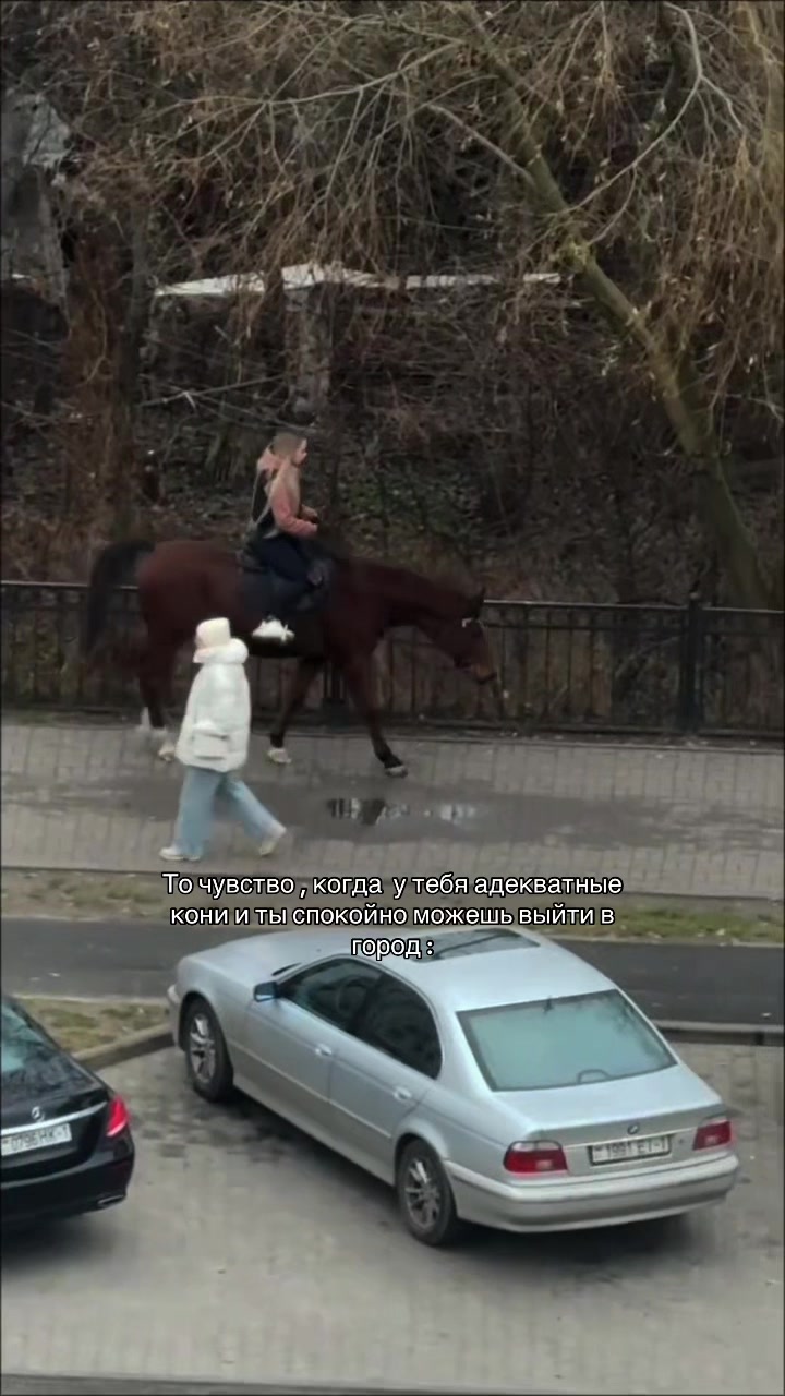 @❗Брест❗ 🐎Конюшня 🐎