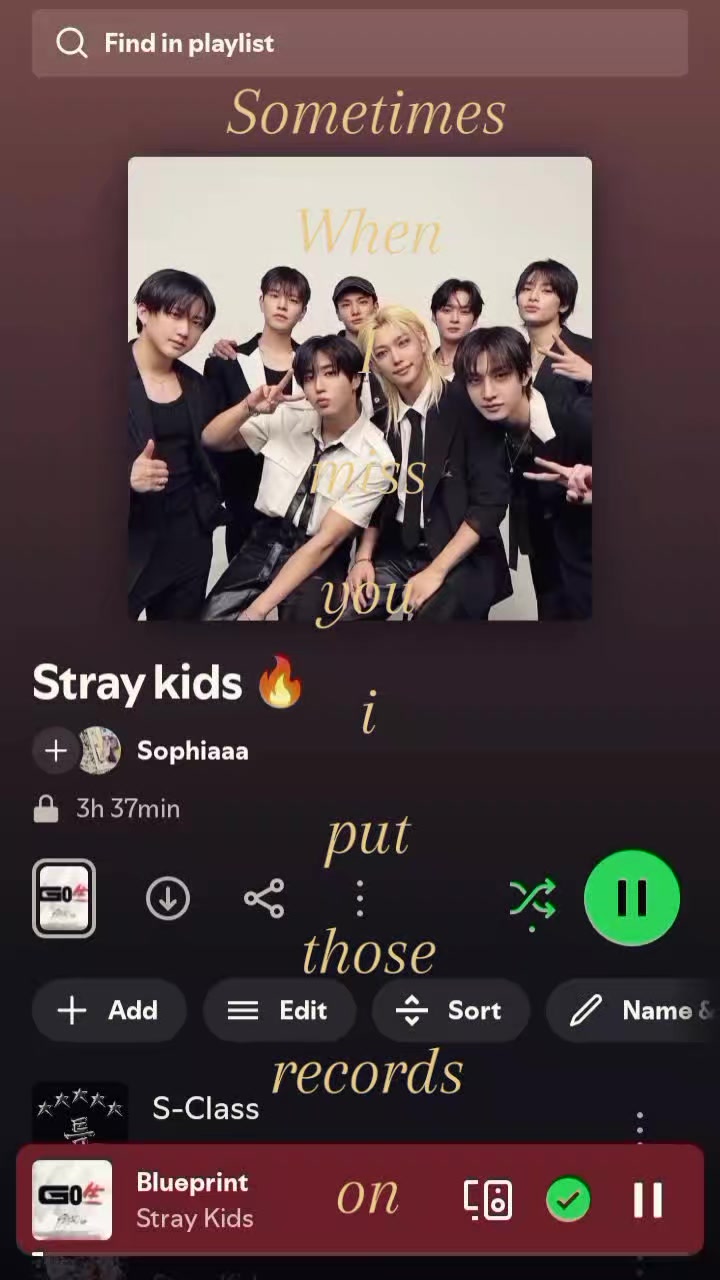 @스트레이 키즈