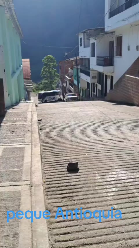 @ruñido