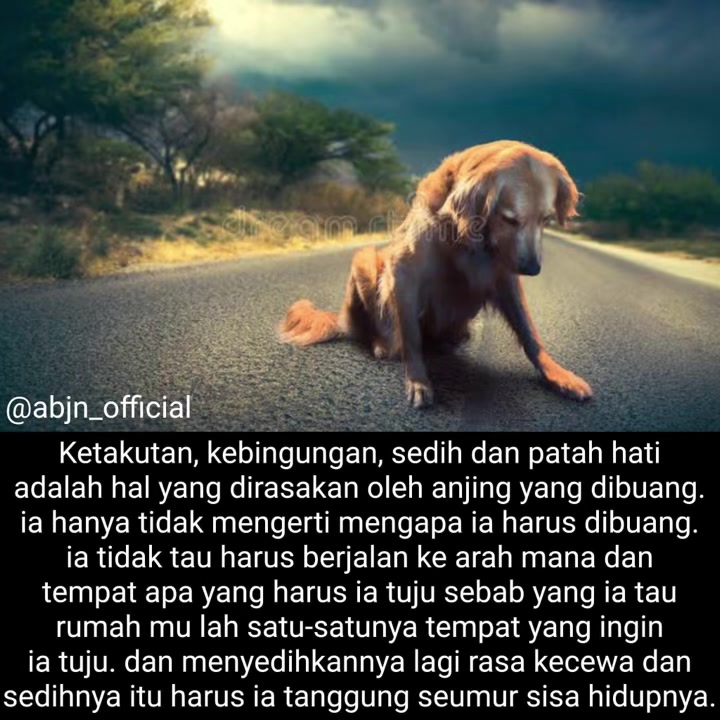 @indonesian_dog_lover