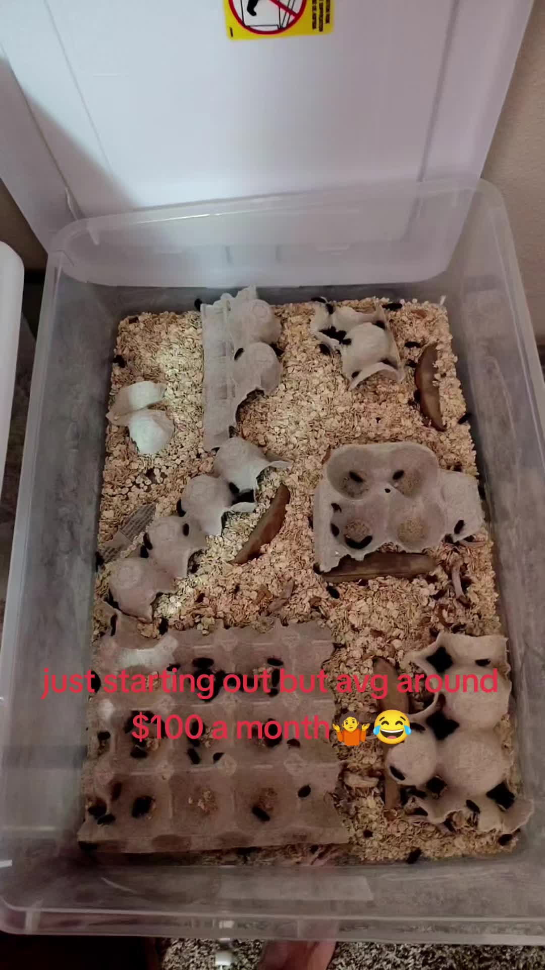 @AWWTIZUM