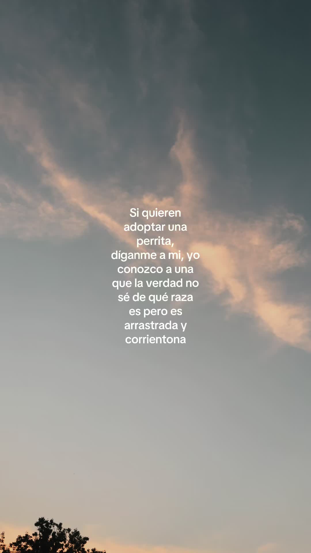 @“Voces del Eco”