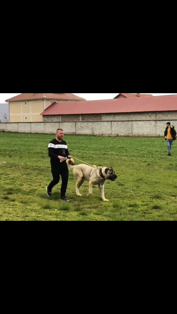 @CAMOKA.TR.KANGAL