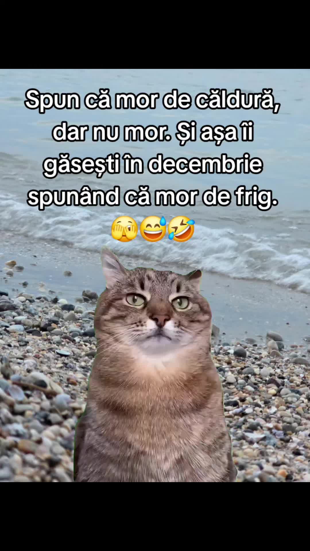 @ank_andreescu867