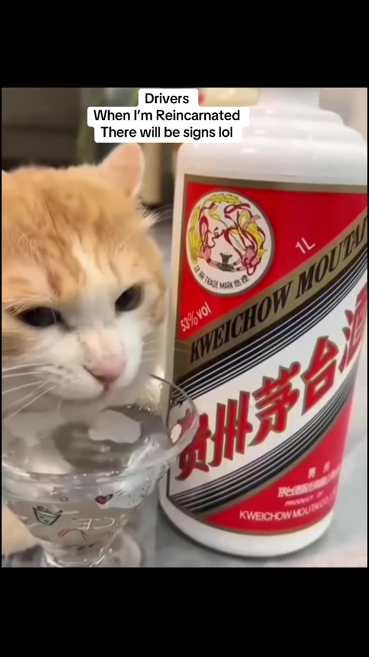 @MrTruckDriver7