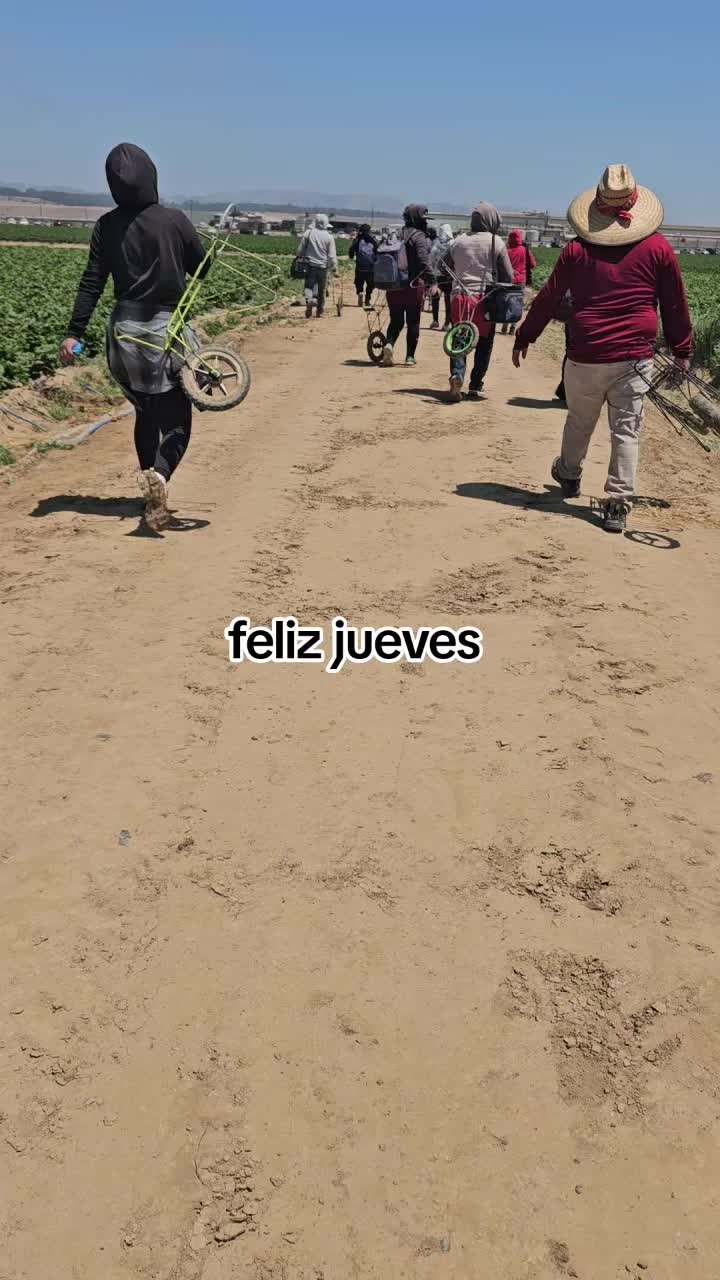 @🇲🇽🐦&zwj;⬛🪺VASQUEZ🚚🌪💎