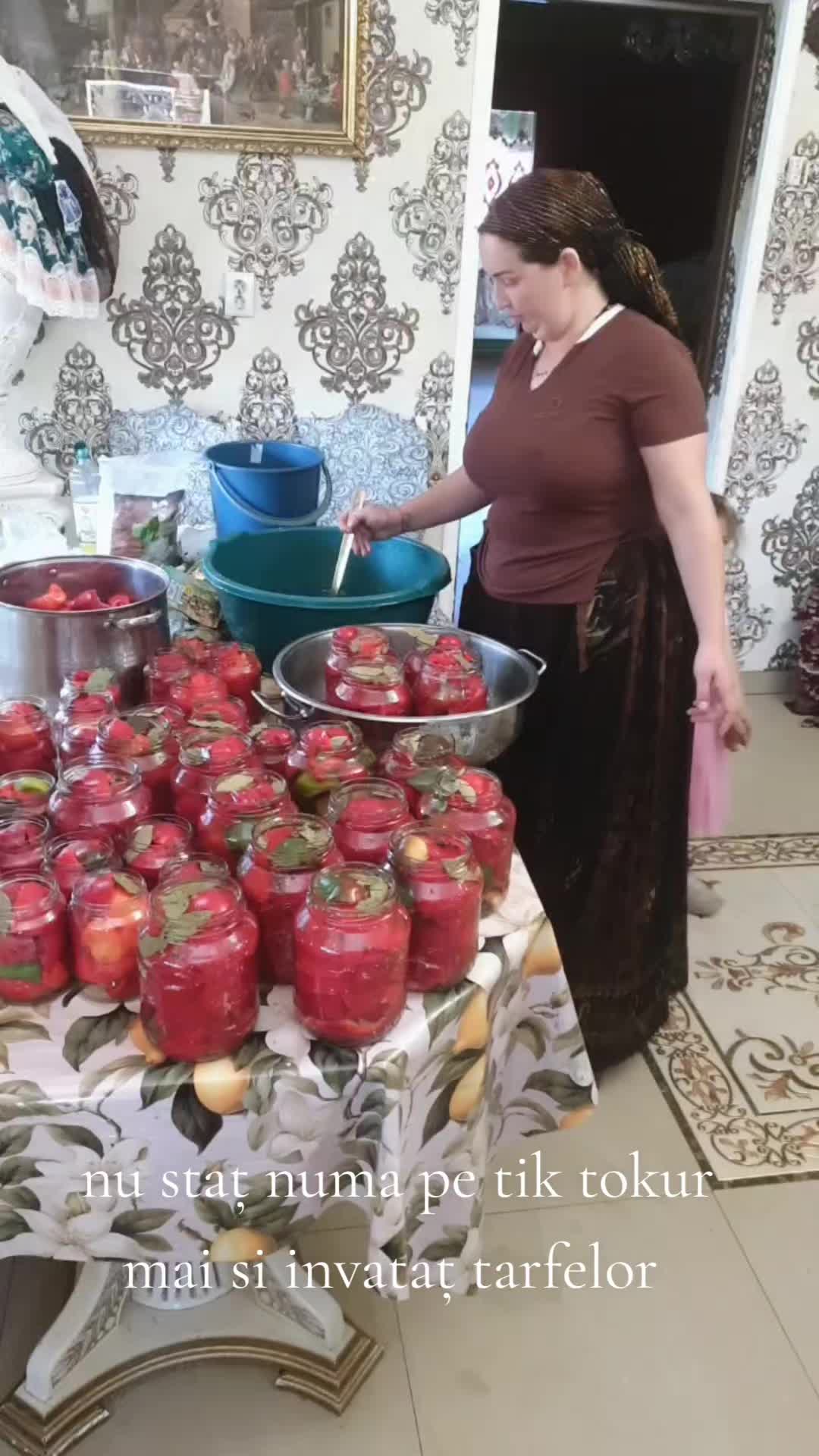 @elena din troia