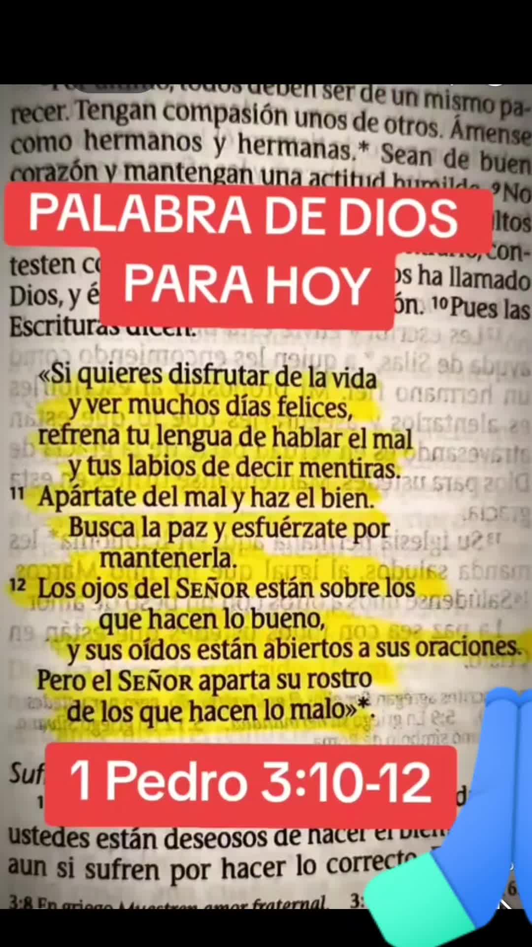 @Nhiler Contreras