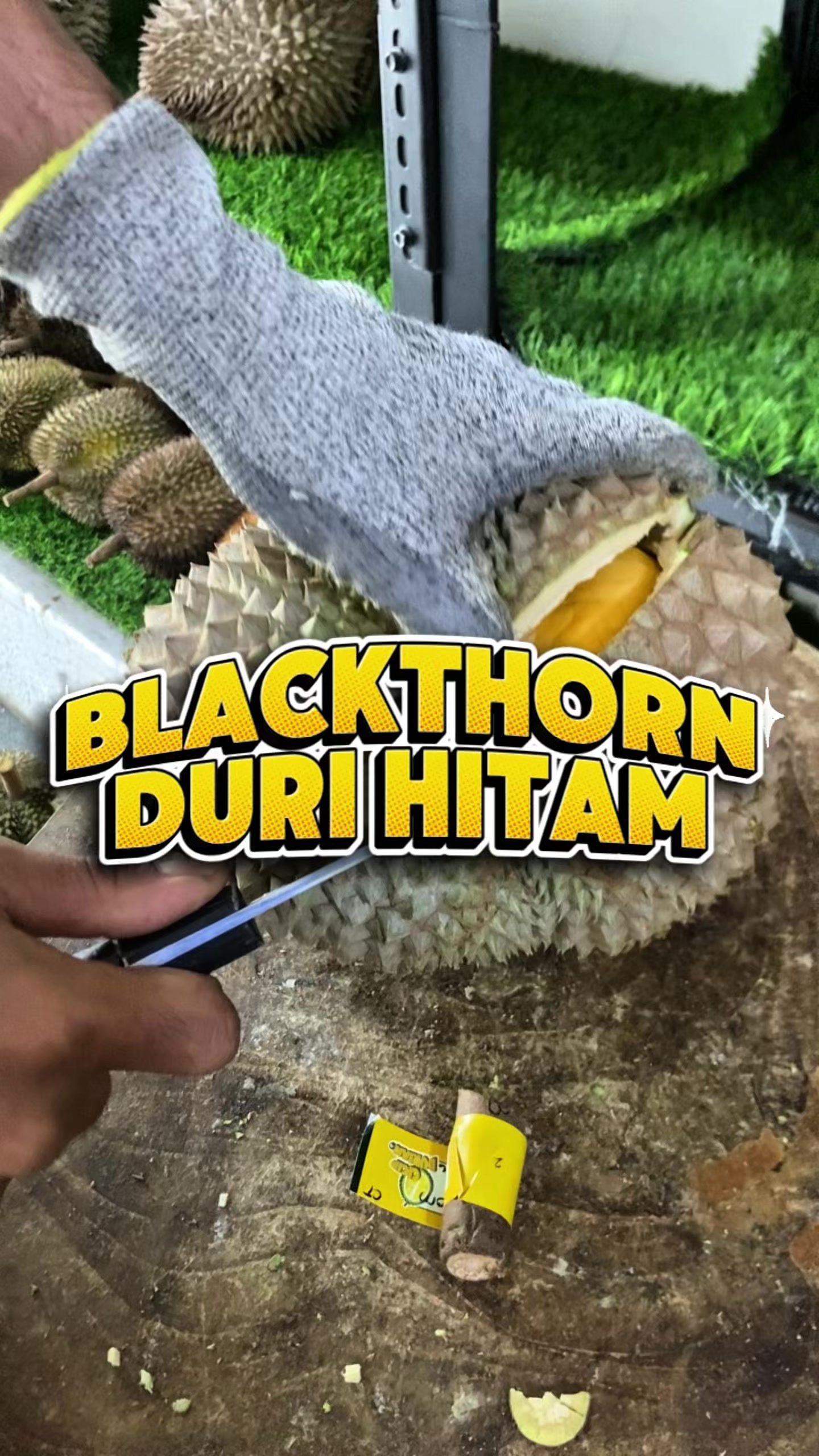 @CICIP DURIAN