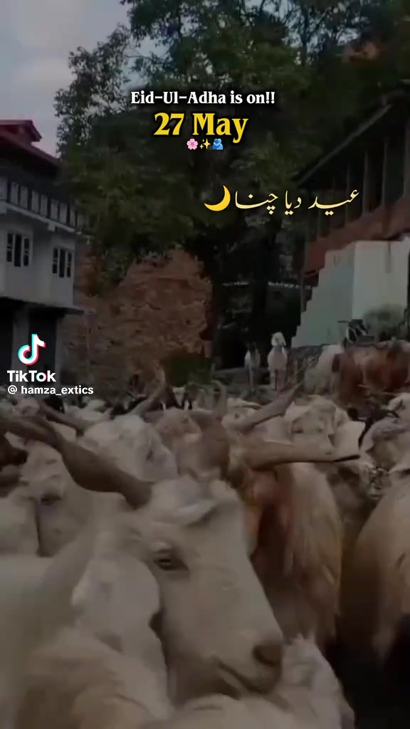 @چوہدری☠️ وسیم جٹ😈