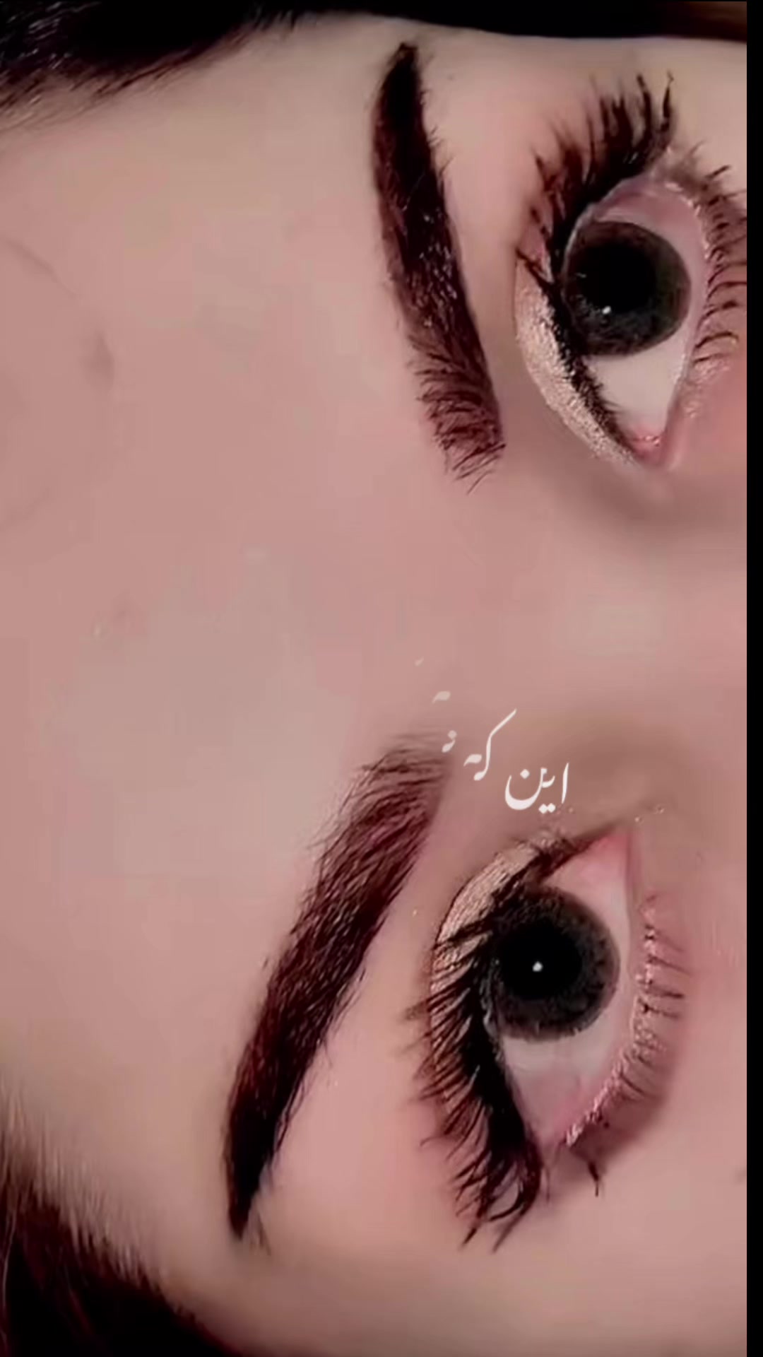 @harirhayat4