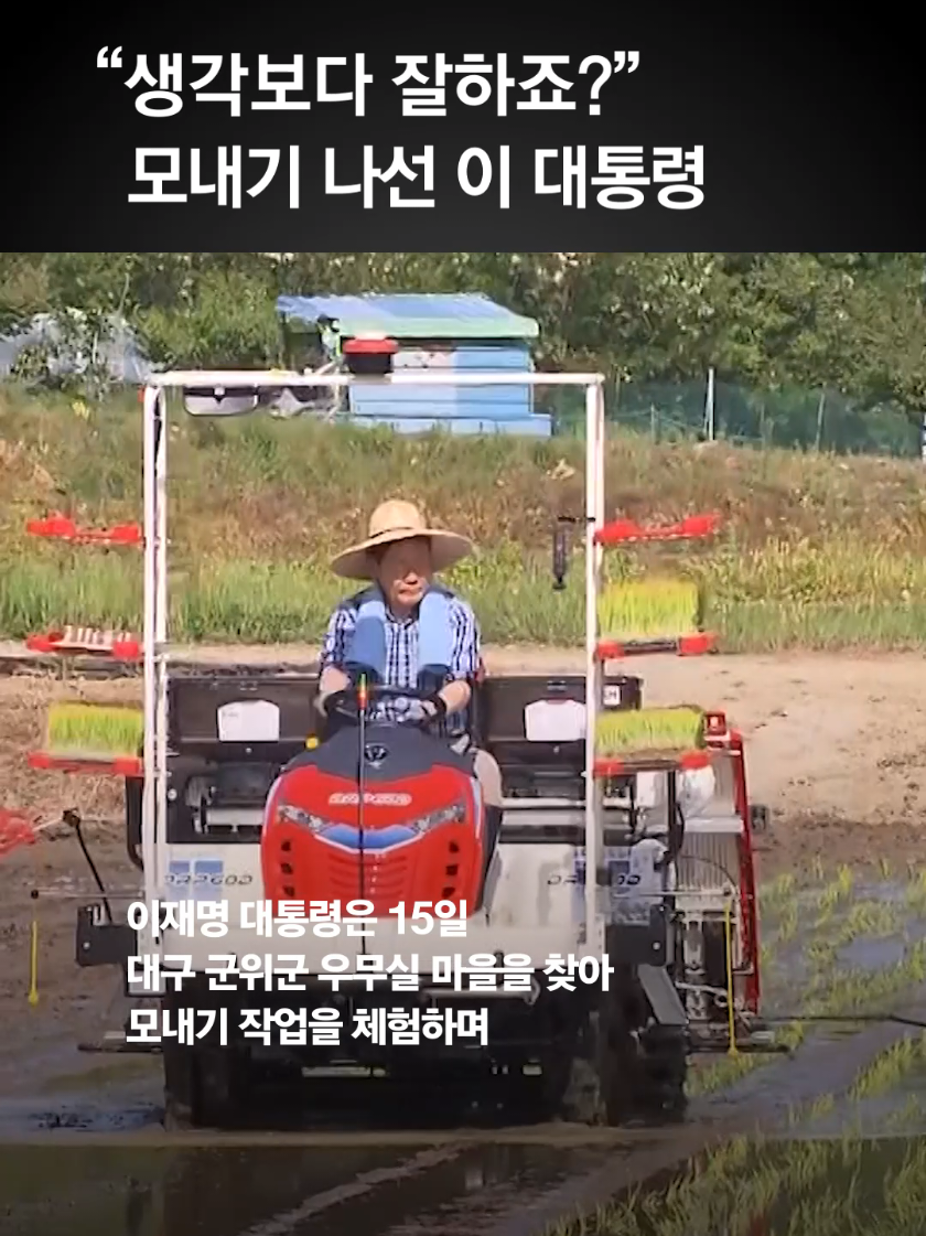 @중앙일보 Joongangilbo