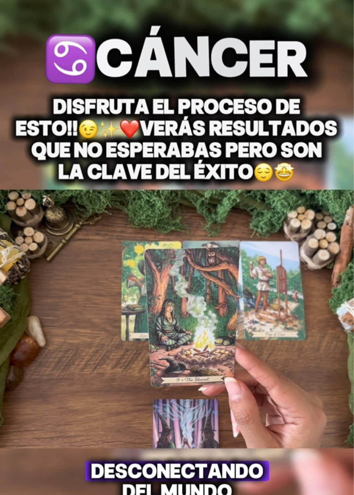 @Andy Sun Tarot ☀️