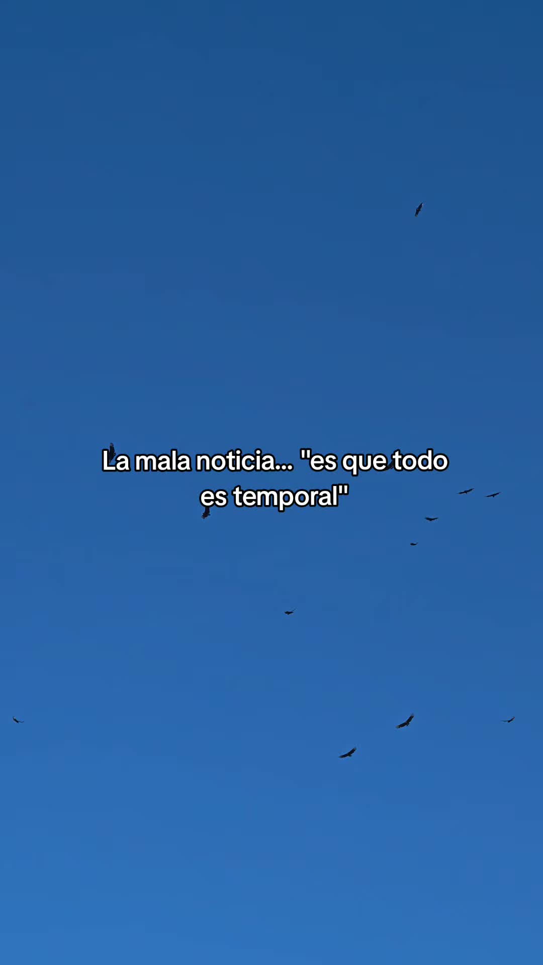 @DiegoCarrasco