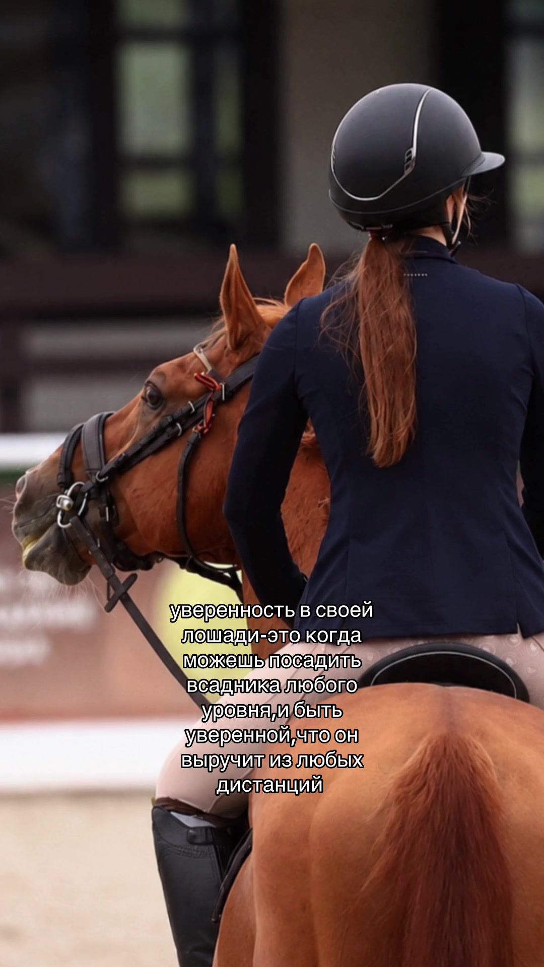 @Tгк:Margarita equestrian
