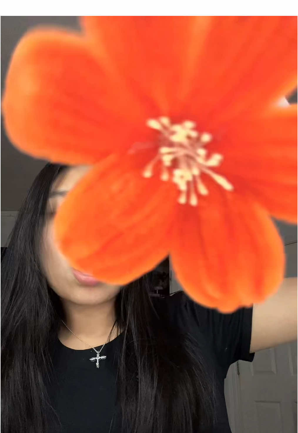 @๐โฐ๐๐พ๐๐๐๐๐