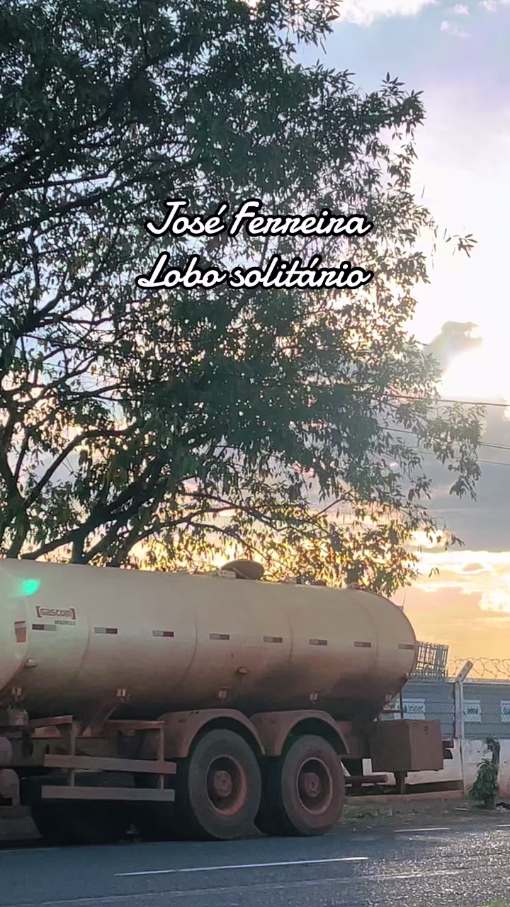 @joseferreiraferreira8