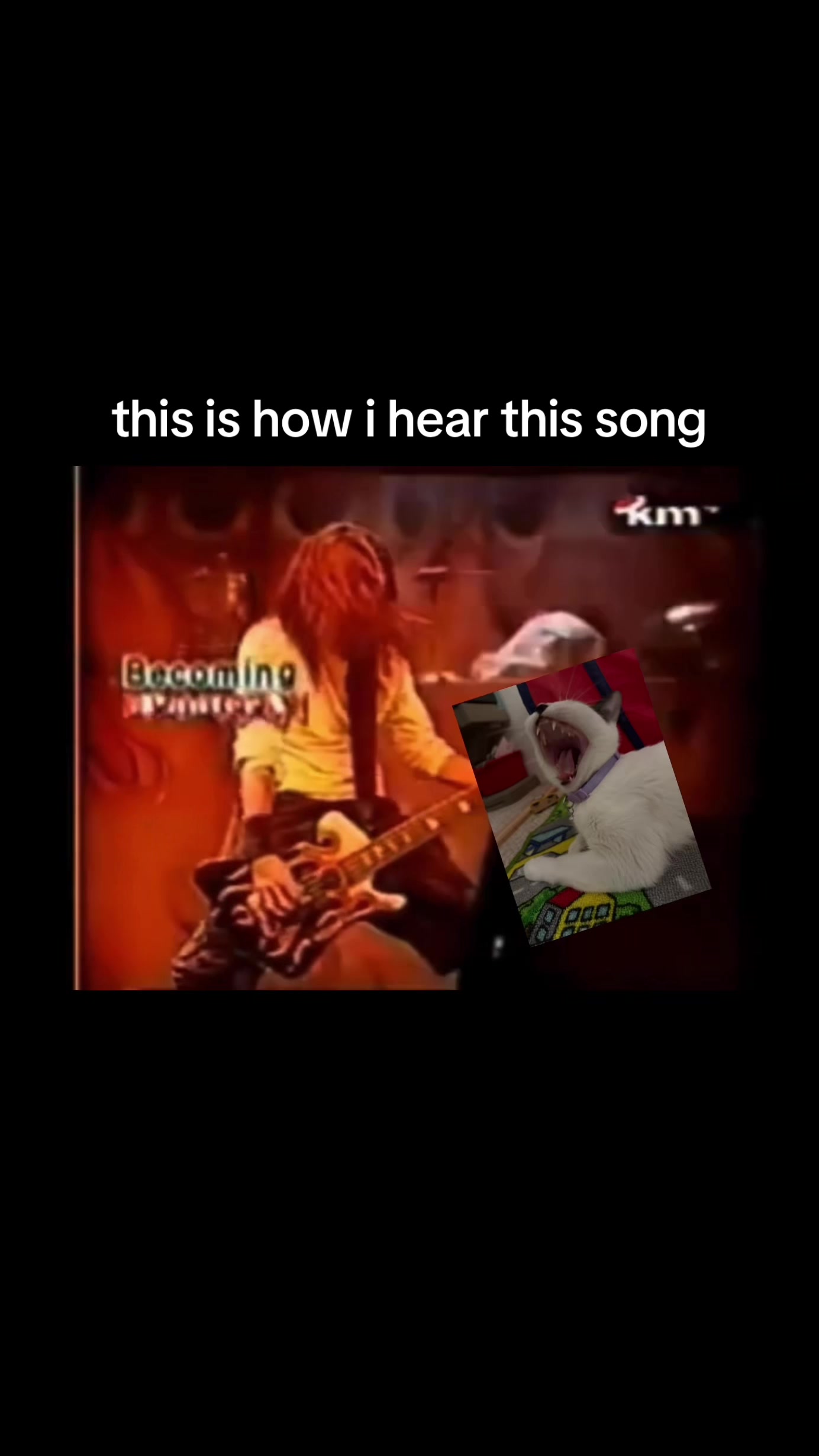 @xavier🎸