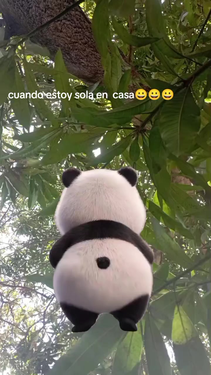 @Luz Mojica🌷🌷🌷