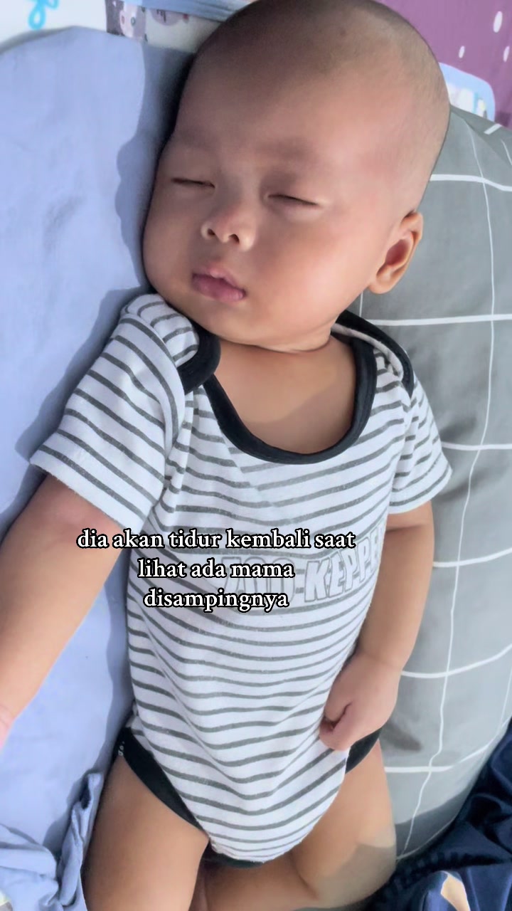 @Zulfa