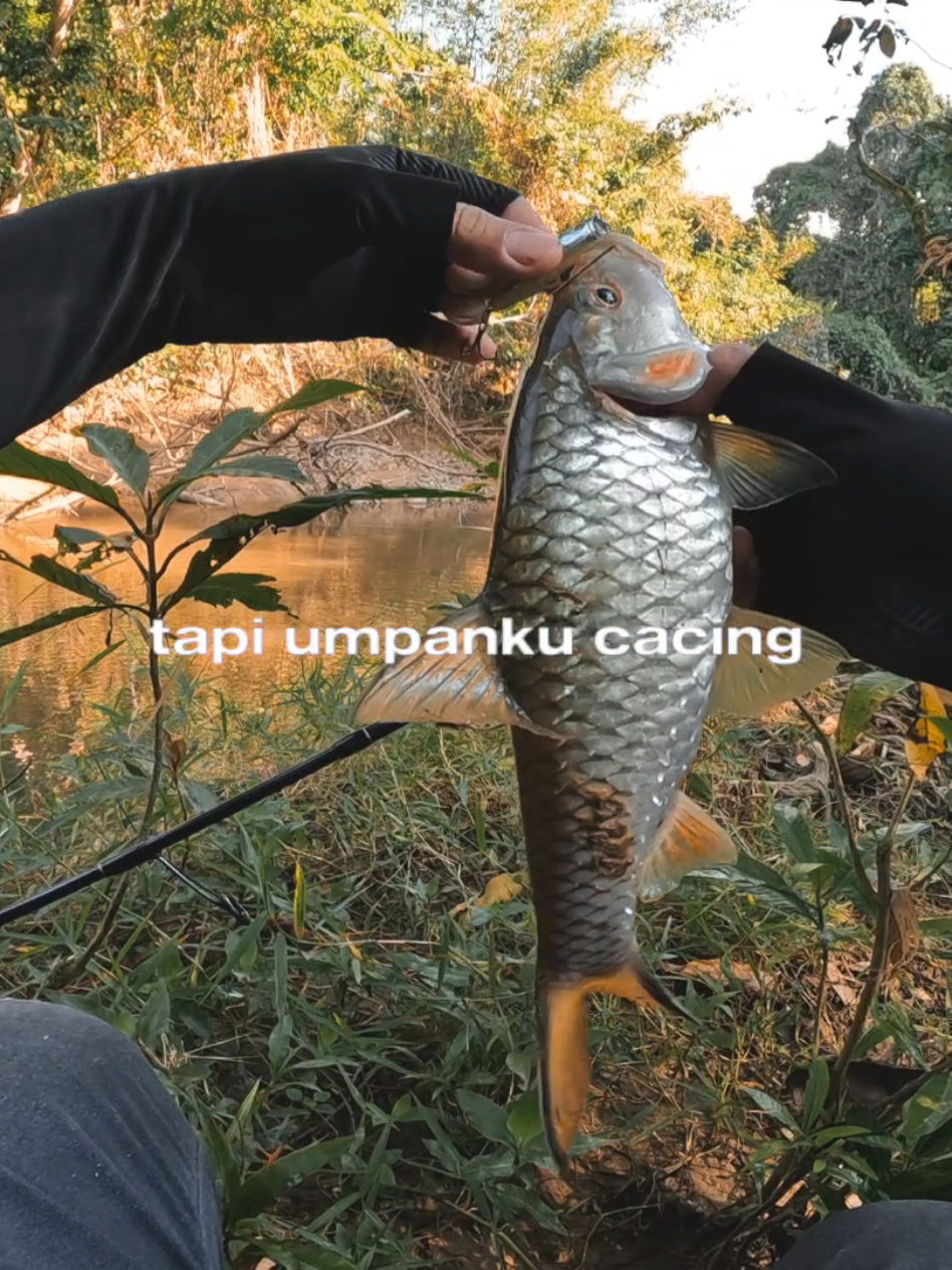 @Damz Strike Fishing