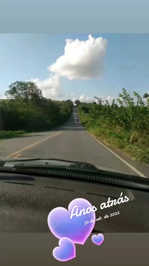 @silenemonteiro925
