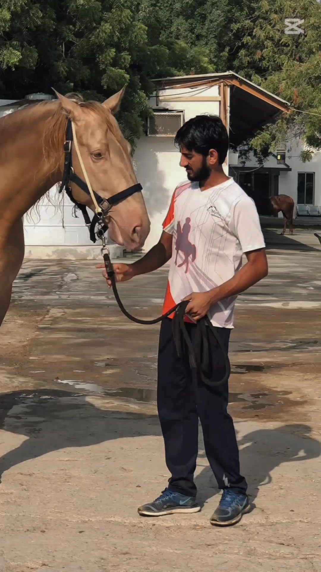 @Naeem satar 🏇