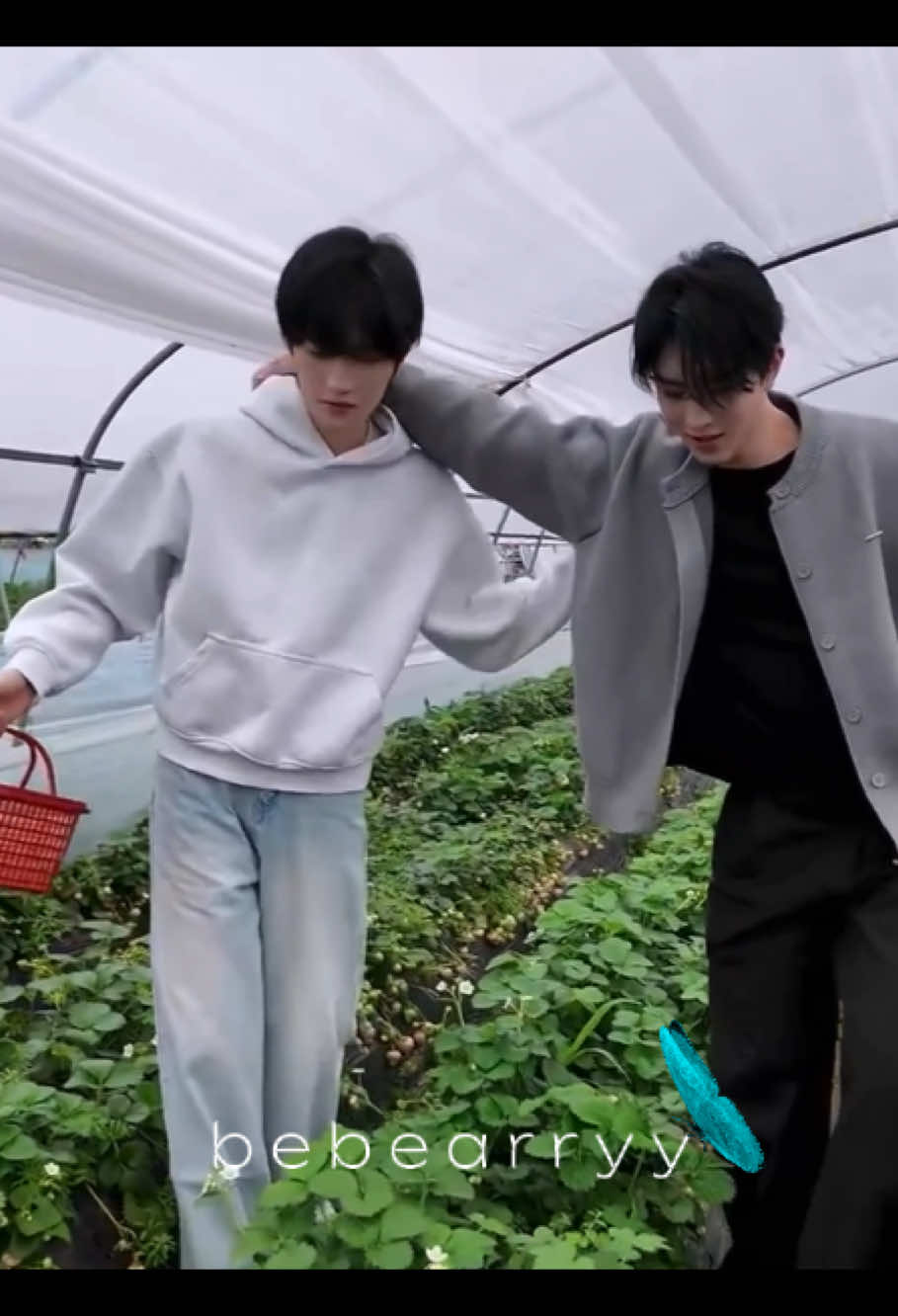 @bear🍒
