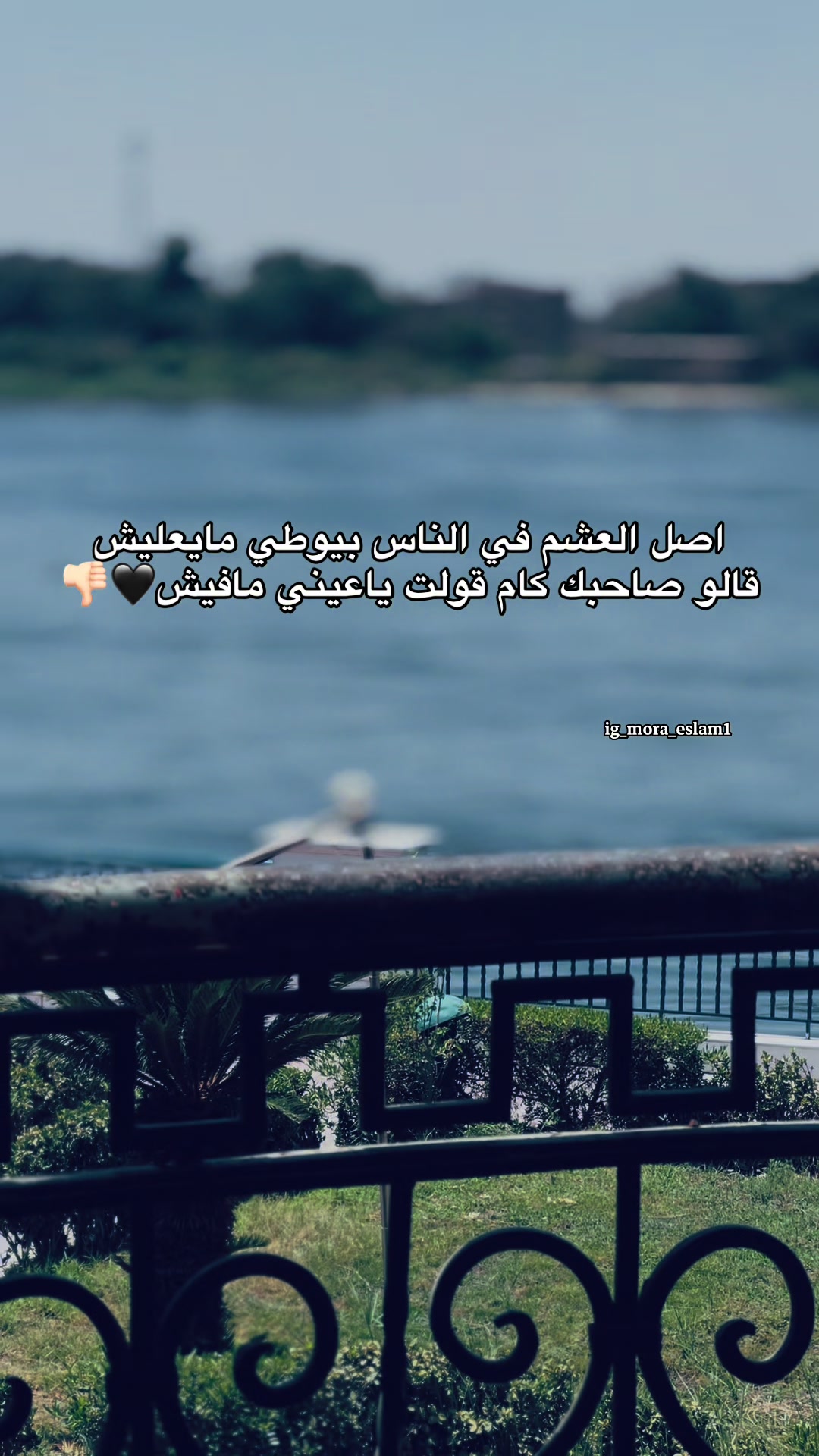 @𓆩﮼خارج﮼نطاق﮼الحب𓆪