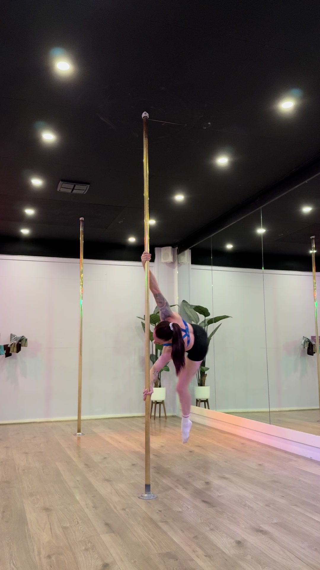 @aerial.alex