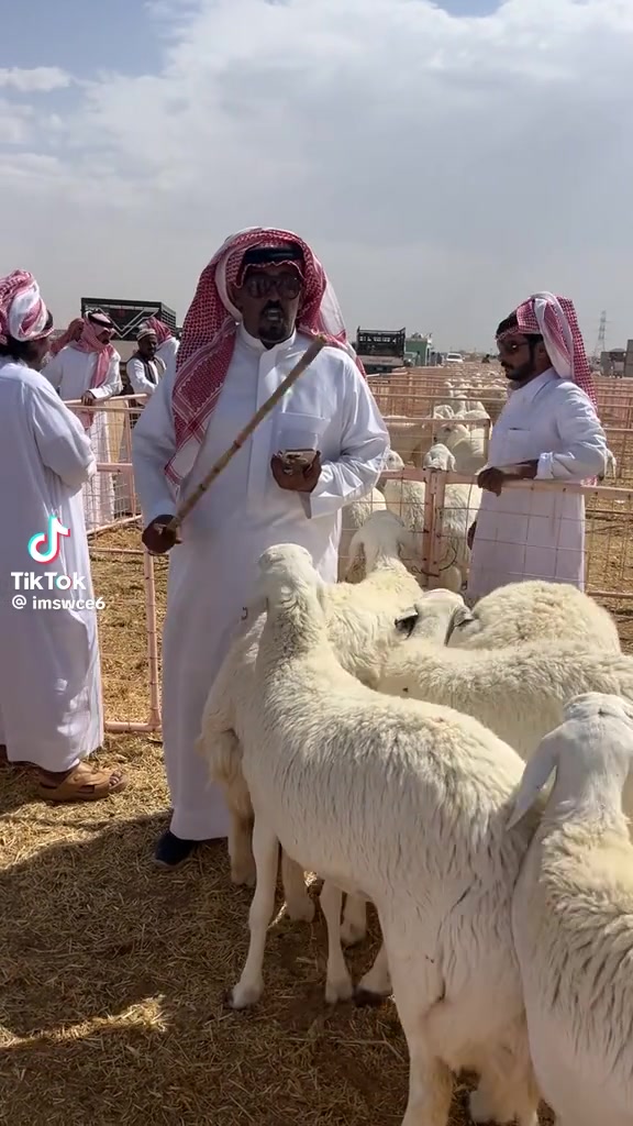 @mohamed_ksa0