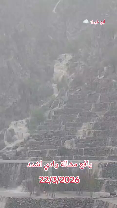 @همام الصهيبي ابو غيث
