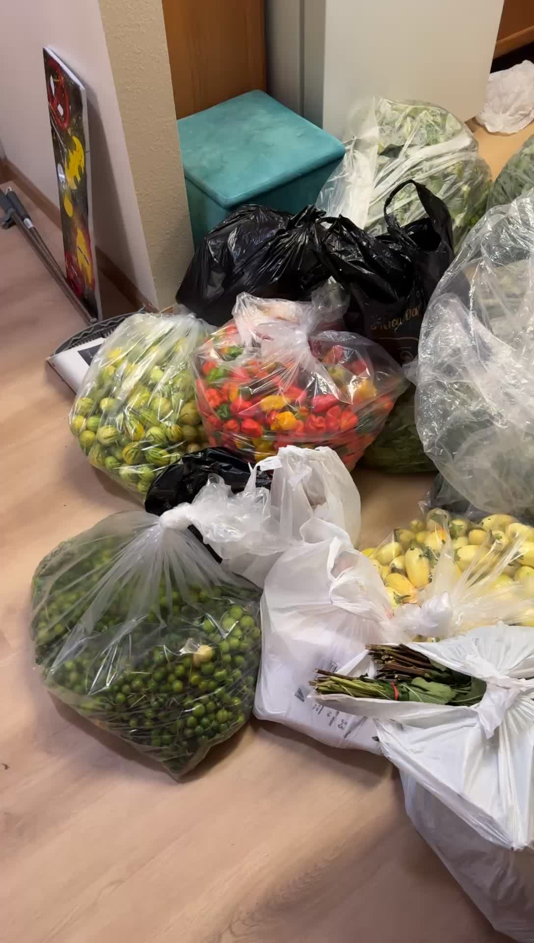 @Bosslady💍💍