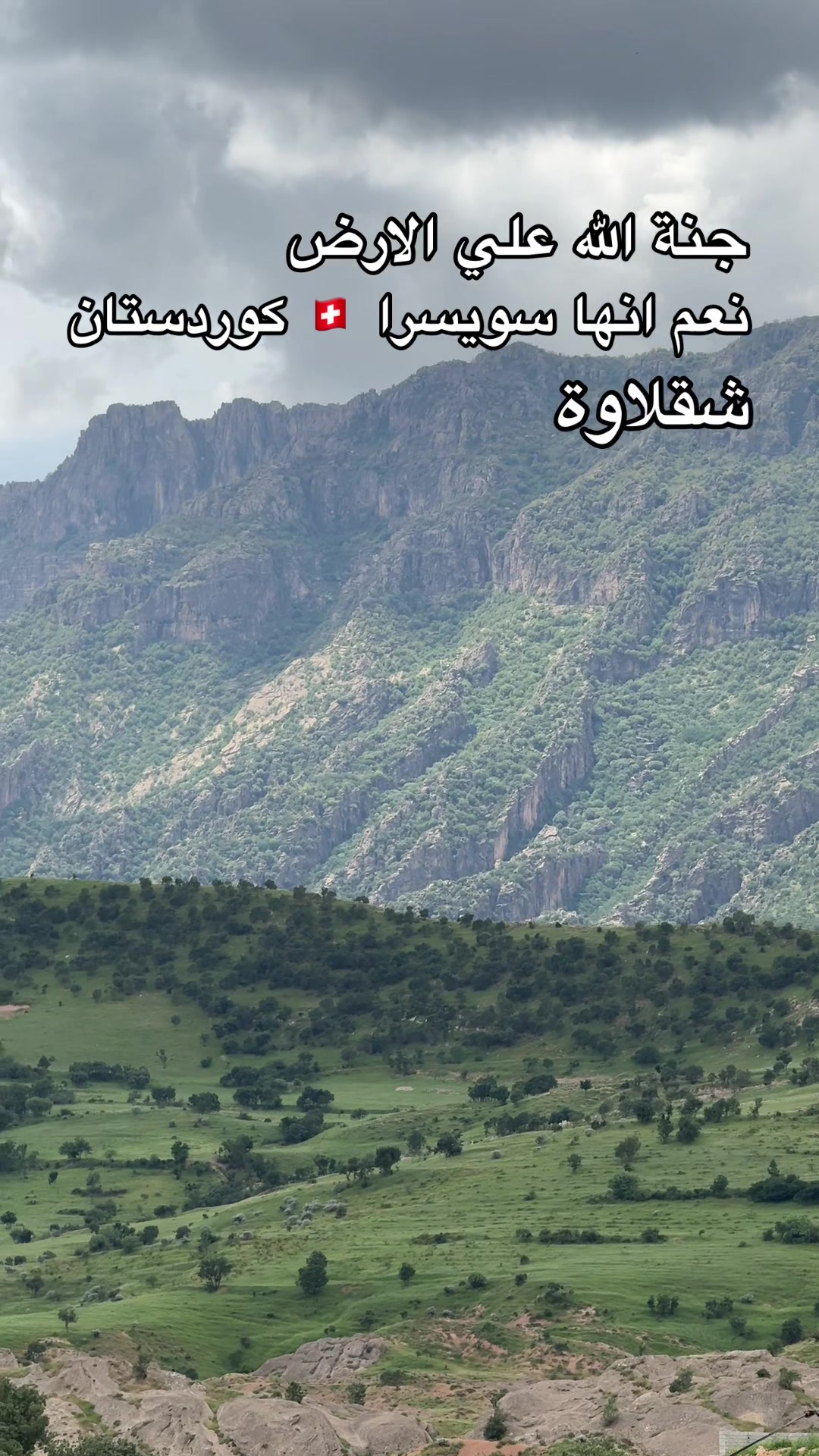 @شاليهات شقلاوة