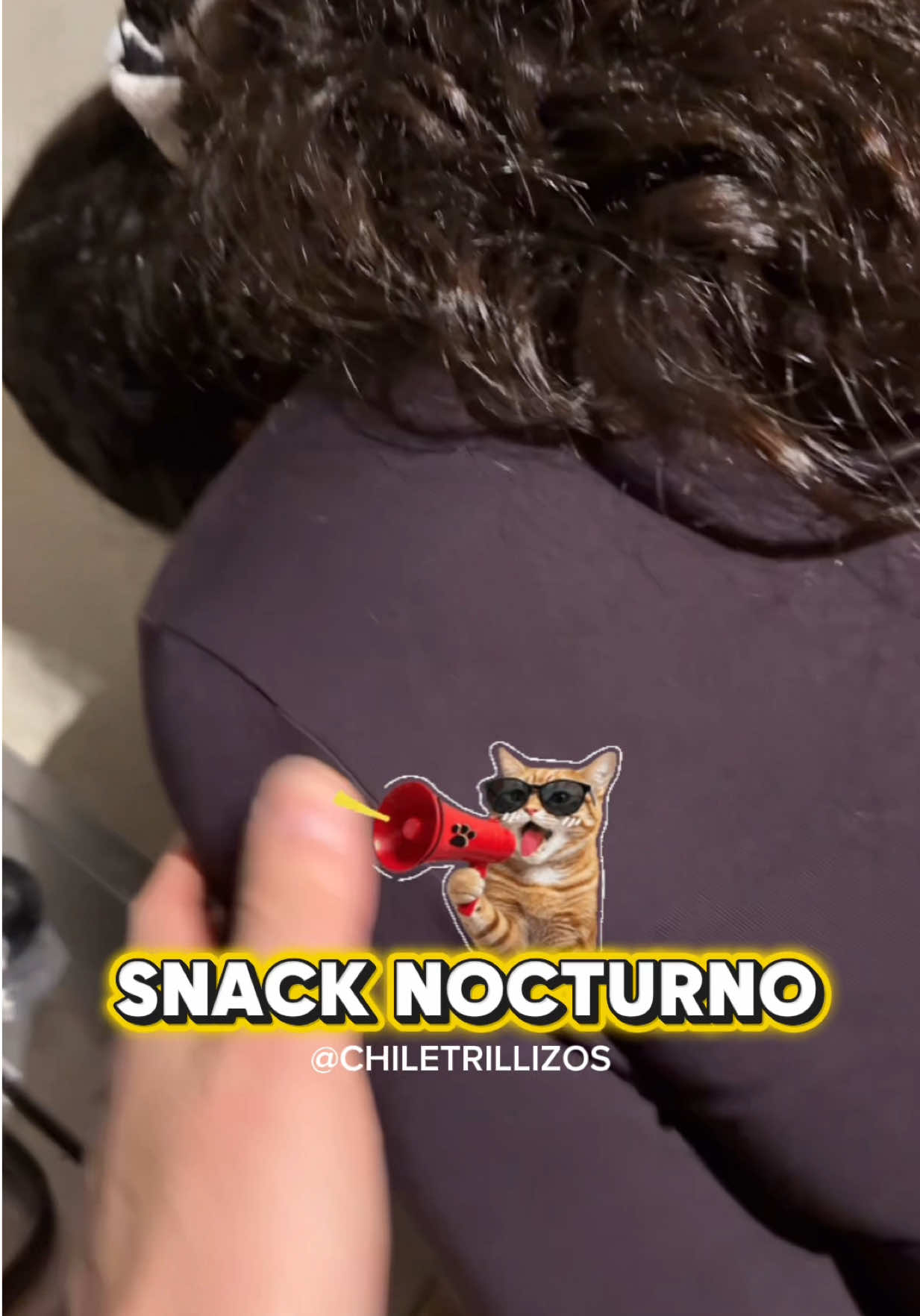 @chiletrillizos
