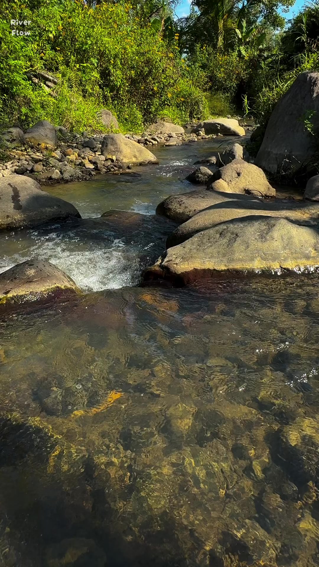 @River Flow