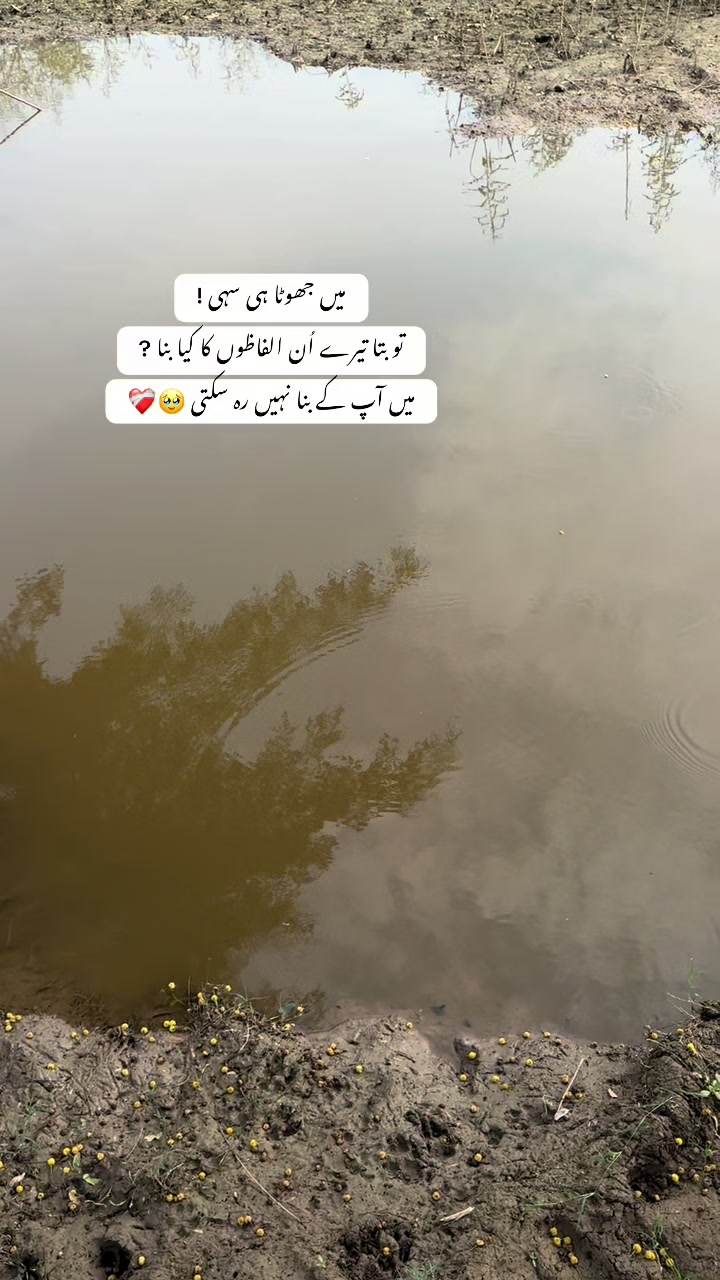 @🌸~