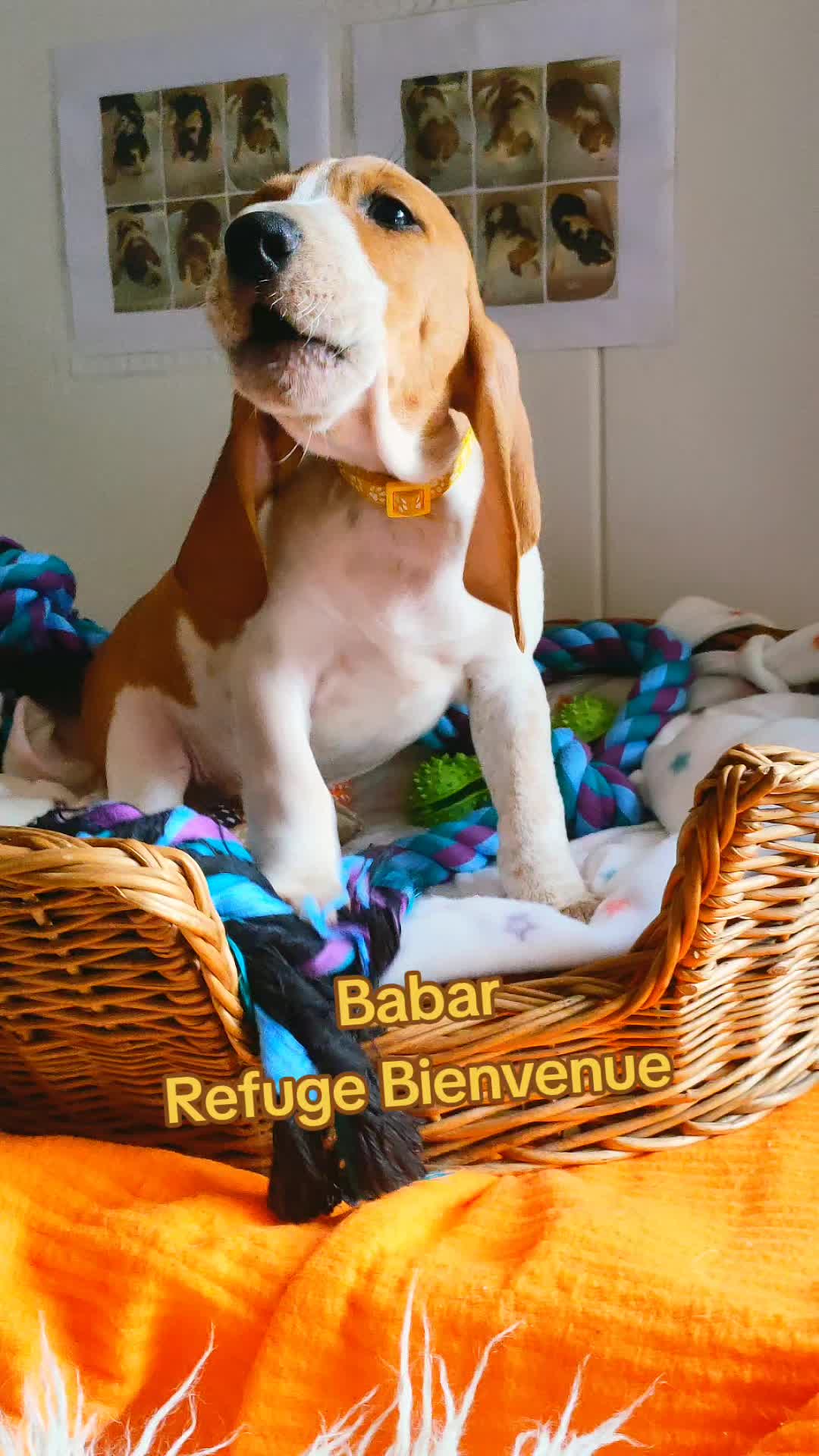 @refuge bienvenue