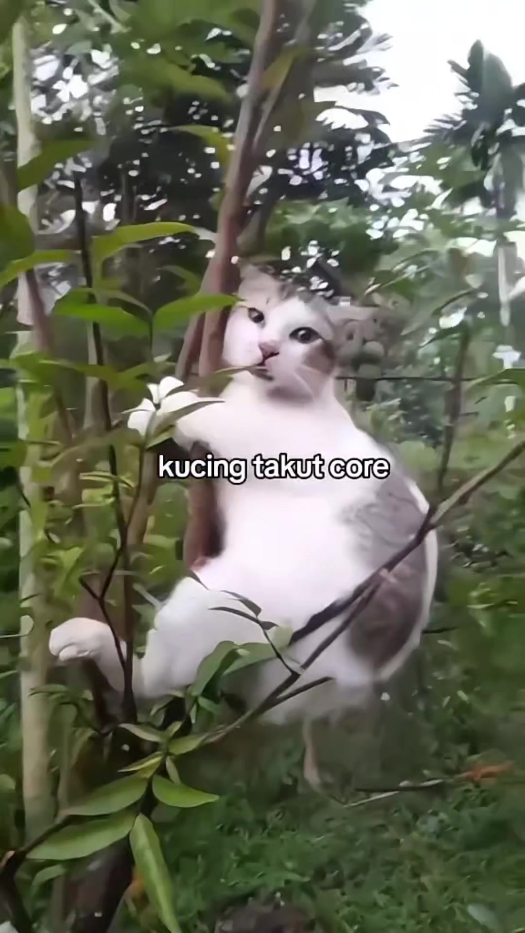 @Nirish