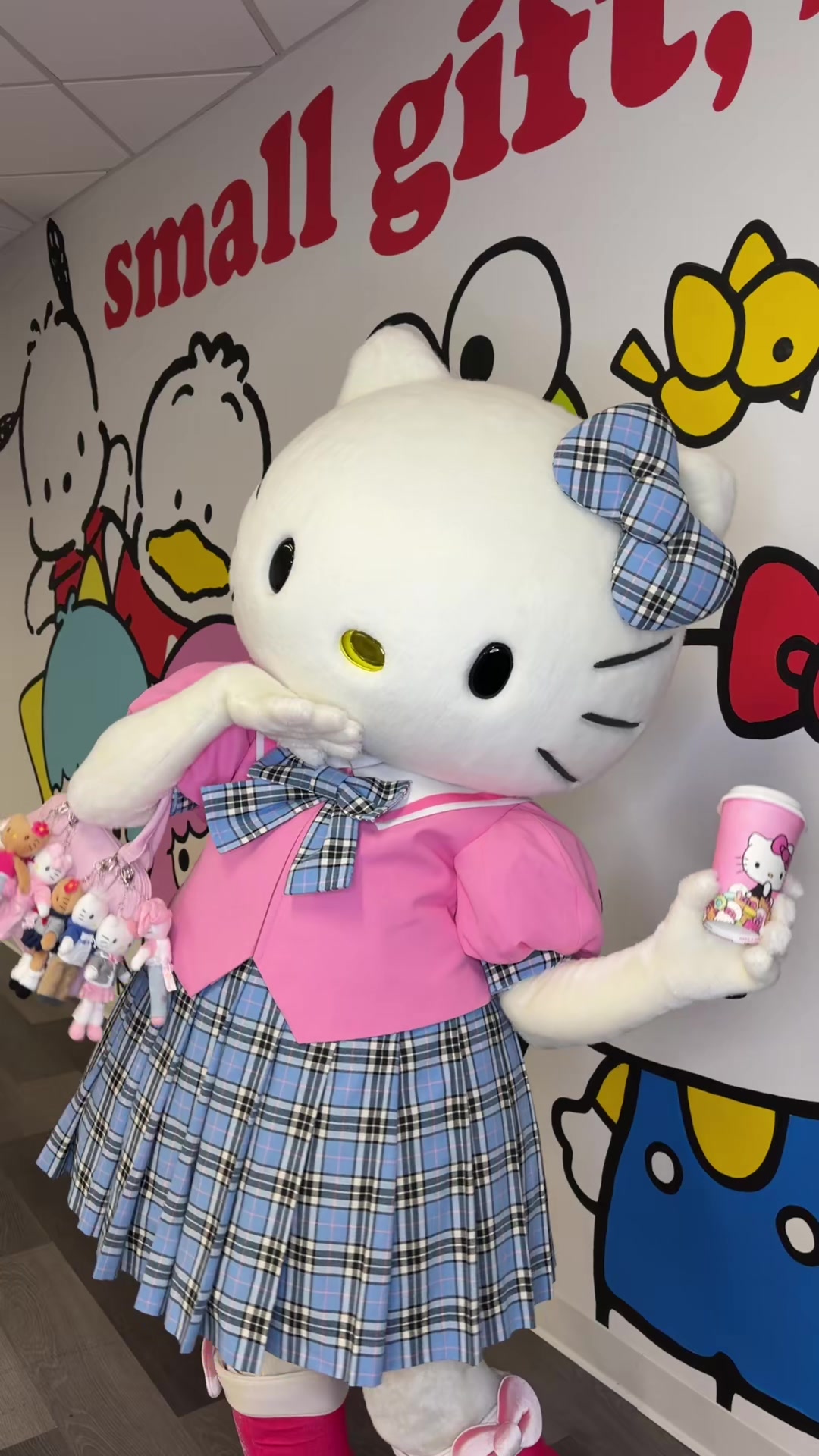 @hellokitty