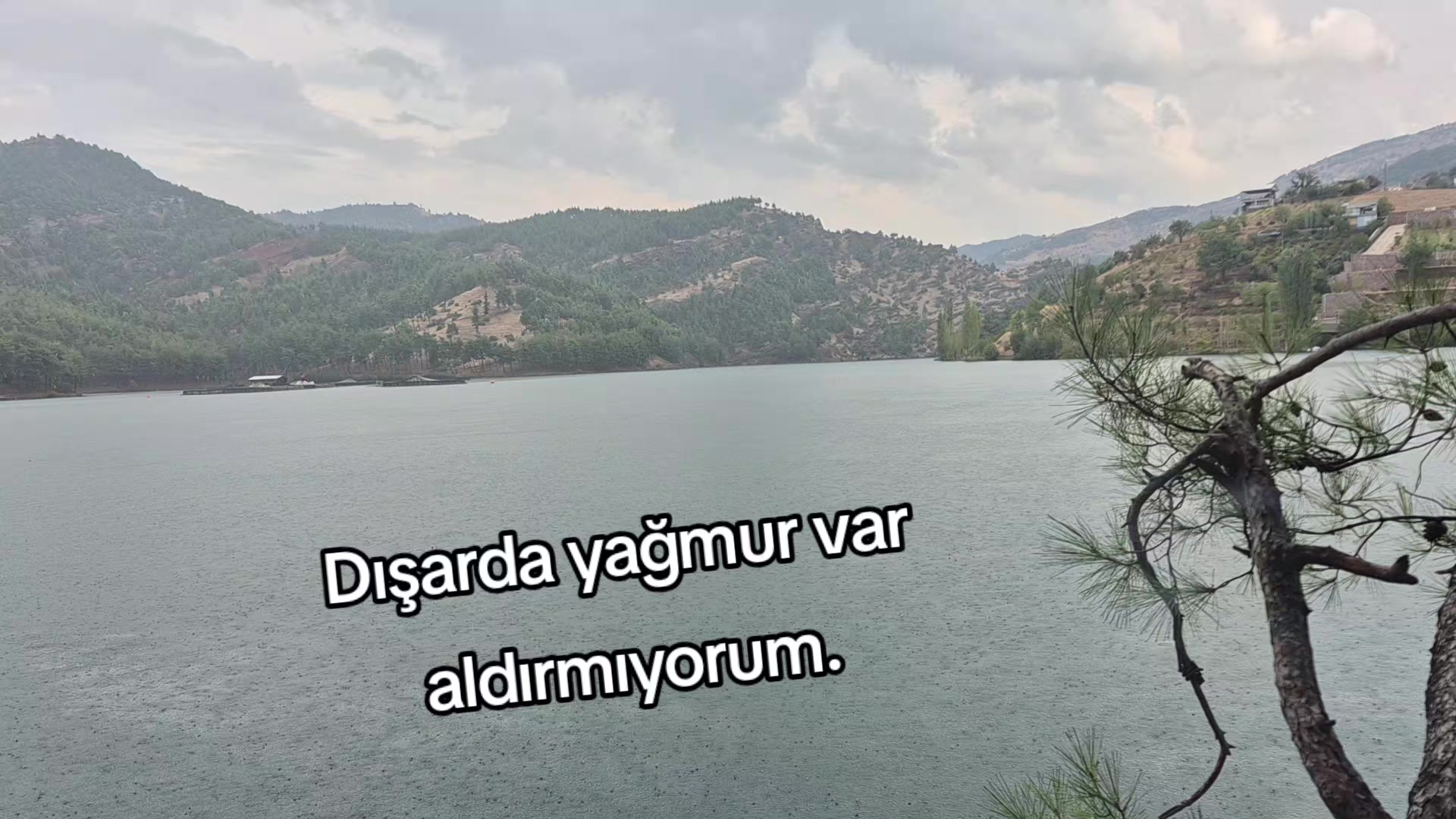 @kyplrdym