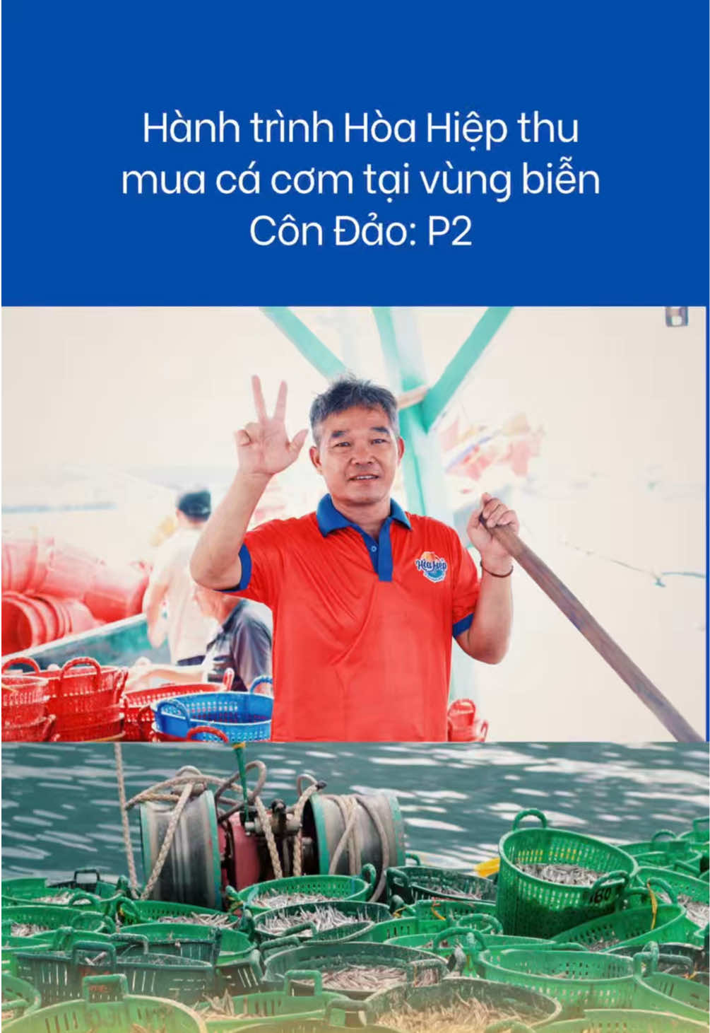 @Hòa Hiệp Foods Official
